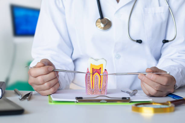 Best Emergency Dental Services Near Me  in Ardmore, OK